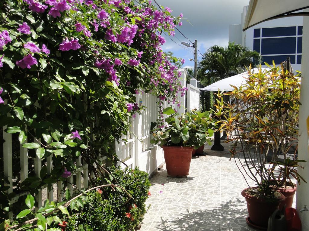 Casa Loft Otel San Andrés Dış mekan fotoğraf